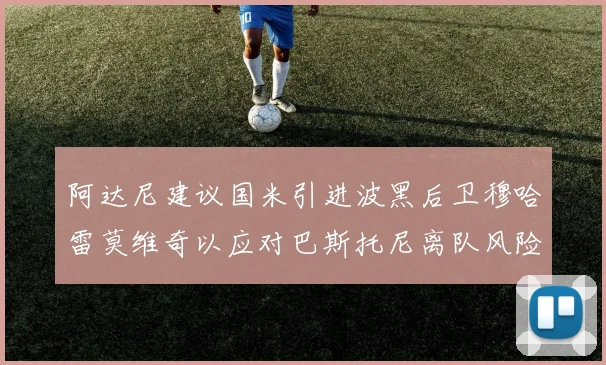 阿达尼建议国米引进波黑后卫穆哈雷莫维奇以应对巴斯托尼离队风险