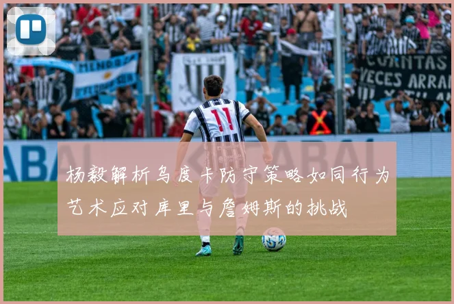 杨毅解析乌度卡防守策略如同行为艺术应对库里与詹姆斯的挑战