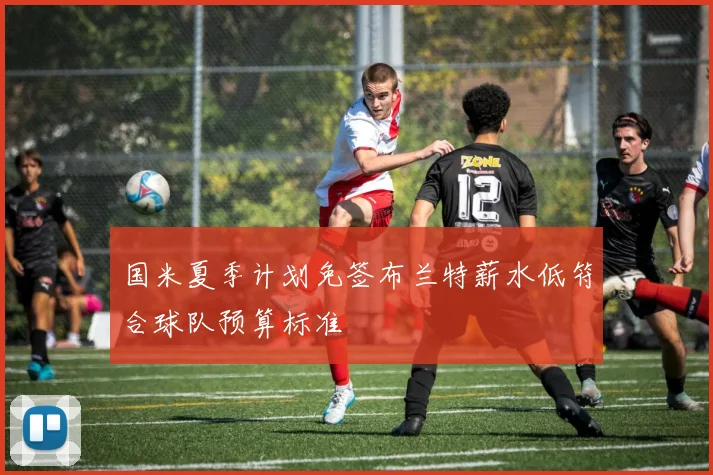 国米夏季计划免签布兰特薪水低符合球队预算标准