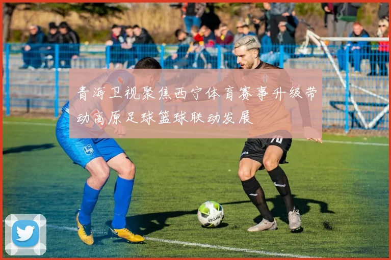 青海卫视聚焦西宁体育赛事升级带动高原足球篮球联动发展